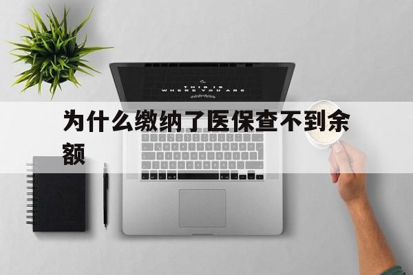 昭通最新为什么缴纳了医保查不到余额方法分析(最方便真实的昭通医保交了费怎么查不到方法)