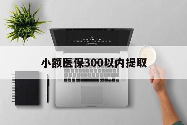 昭通最新小额医保300以内提取方法分析(最方便真实的昭通小额医保300以内提取中介方法)